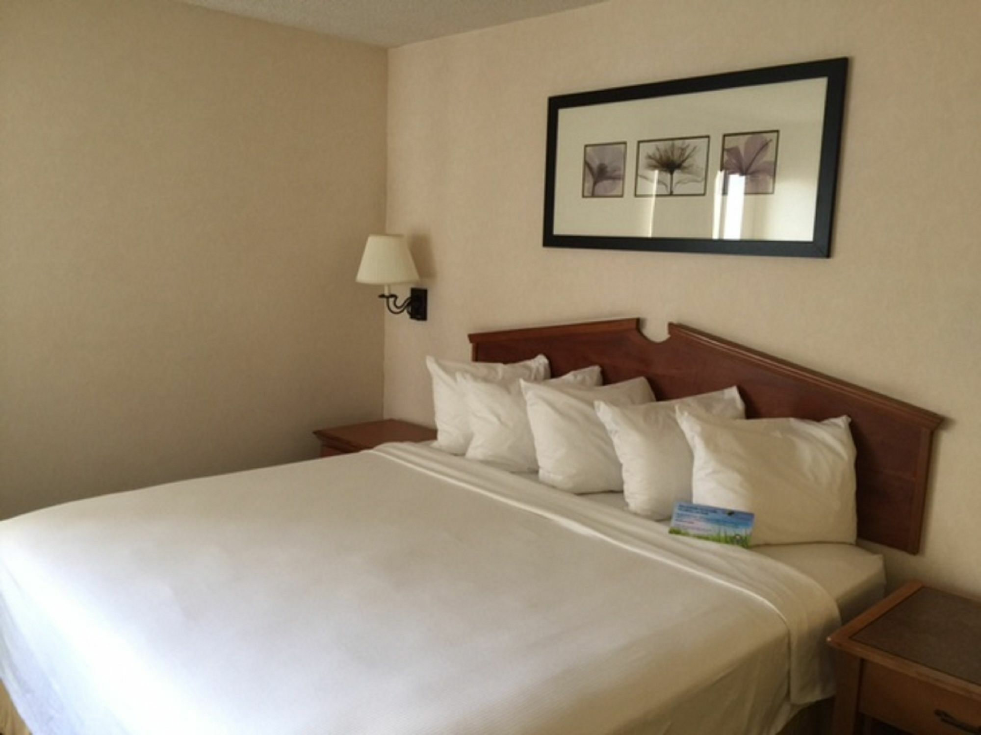 Days Inn & Suites By Wyndham Denver International Airport Bagian luar foto